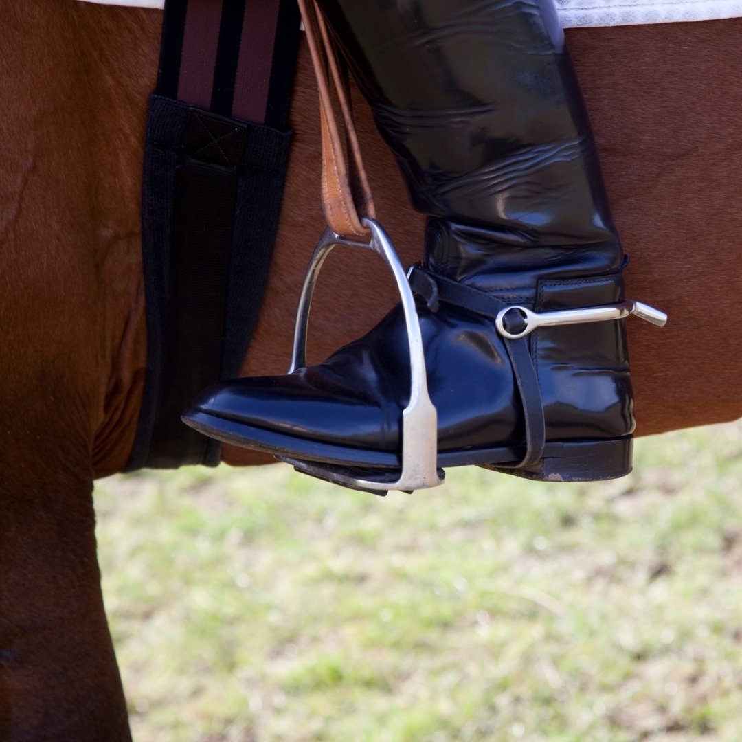 Licol cuir cavalier Lexcia Reims Licol cuir cavalier Lexcia Reims